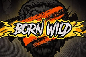 Born Wild free demo play