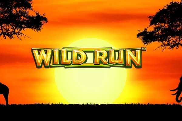 Wild Run free demo play