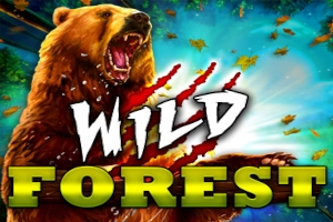 Wild Forest free demo play