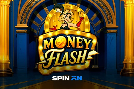 Money Flash free demo play