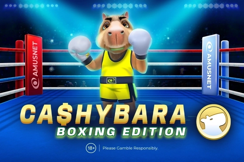Cashybara Boxing Edition