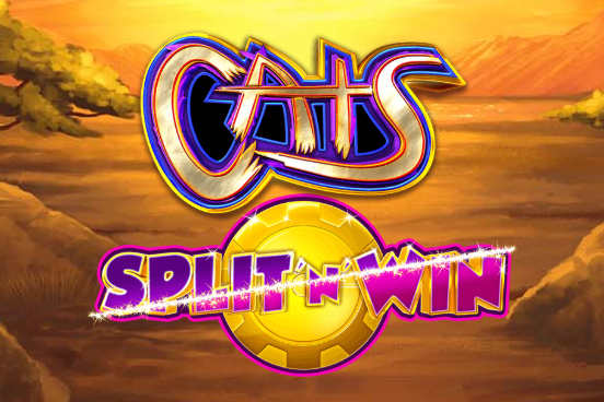 Cats Split ‘n’ Win
