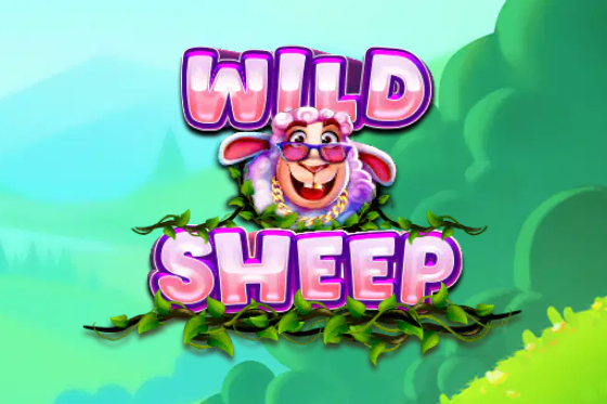 Wild Sheep