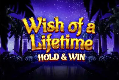 Wish of a Lifetime