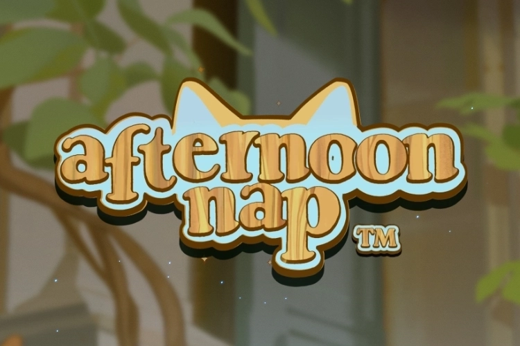 Afternoon Nap