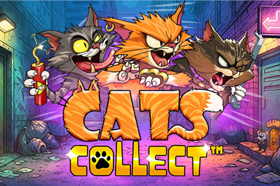 Cats Collect