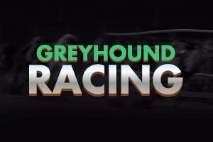 Greyhound Racing