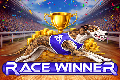 Race Winner free demo play
