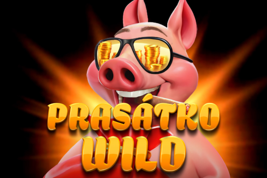 Prasatko Wild free demo play